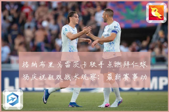格纳布里戈雷茨卡联手点燃拜仁球场庆祝狂欢战术观察：最新赛事动态与深度分析